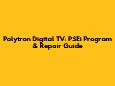 Polytron Digital TV: PSEi Program & Repair Guide