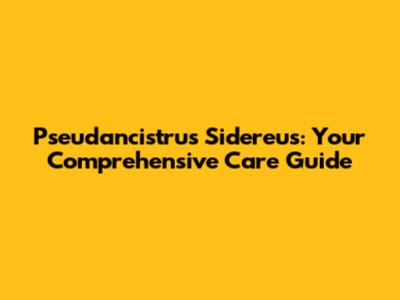 Pseudancistrus Sidereus: Your Comprehensive Care Guide