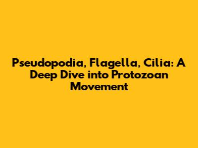 Pseudopodia, Flagella, Cilia: A Deep Dive into Protozoan Movement
