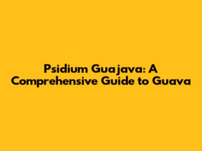 Psidium Guajava: A Comprehensive Guide to Guava