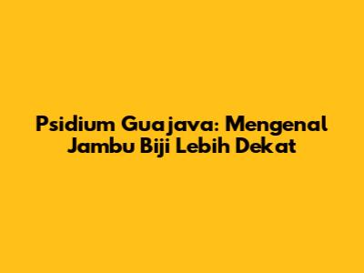 Psidium Guajava: Mengenal Jambu Biji Lebih Dekat