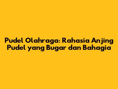 Pudel Olahraga: Rahasia Anjing Pudel yang Bugar dan Bahagia
