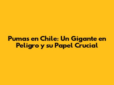 Pumas en Chile: Un Gigante en Peligro y su Papel Crucial