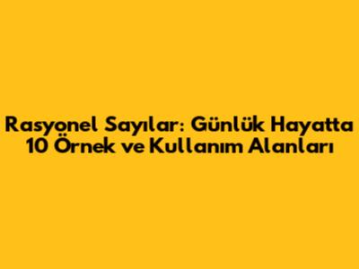 Rasyonel Sayılar: Günlük Hayatta 10 Örnek ve Kullanım Alanları