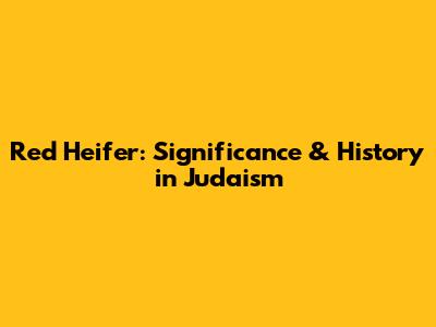 Red Heifer: Significance & History in Judaism