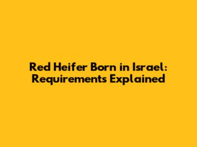 Red Heifer Born in Israel: Requirements Explained