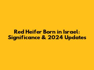 Red Heifer Born in Israel: Significance & 2024 Updates