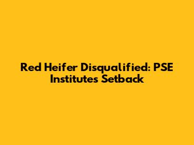 Red Heifer Disqualified: PSE Institute's Setback