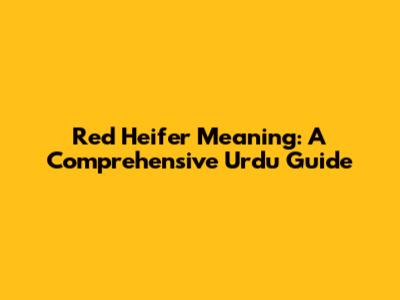 Red Heifer Meaning: A Comprehensive Urdu Guide