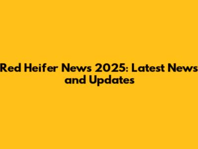 Red Heifer News 2025: Latest News and Updates