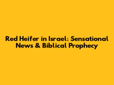 Red Heifer in Israel: Sensational News & Biblical Prophecy