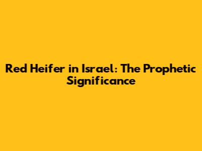 Red Heifer in Israel: The Prophetic Significance