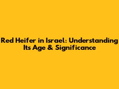 Red Heifer in Israel: Understanding Its Age & Significance