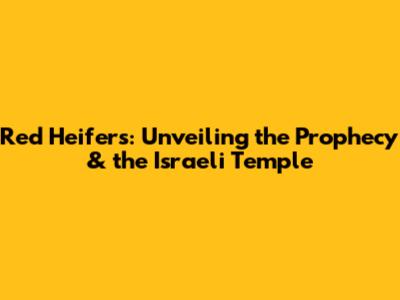 Red Heifers: Unveiling the Prophecy & the Israeli Temple
