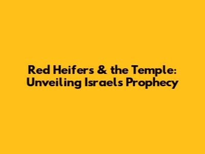 Red Heifers & the Temple: Unveiling Israel's Prophecy