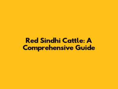Red Sindhi Cattle: A Comprehensive Guide