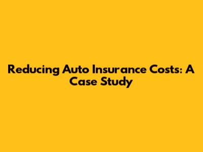 Reducing Auto Insurance Costs: A Case Study