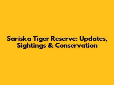Sariska Tiger Reserve: Updates, Sightings & Conservation