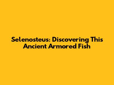 Selenosteus: Discovering This Ancient Armored Fish