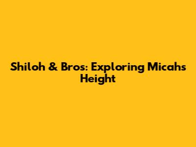 Shiloh & Bros: Exploring Micah's Height