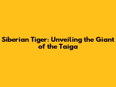 Siberian Tiger: Unveiling the Giant of the Taiga