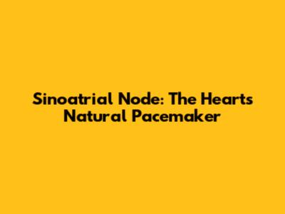 Sinoatrial Node: The Heart's Natural Pacemaker