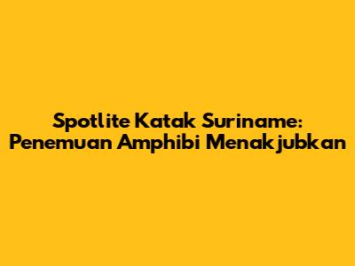 Spotlite Katak Suriname: Penemuan Amphibi Menakjubkan