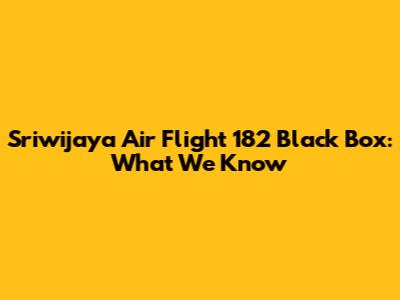 Sriwijaya Air Flight 182 Black Box: What We Know