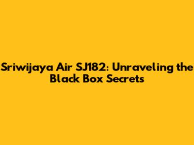 Sriwijaya Air SJ182: Unraveling the Black Box Secrets