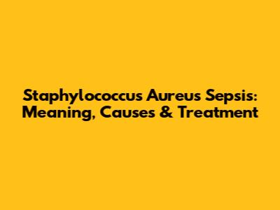 Staphylococcus Aureus Sepsis: Meaning, Causes & Treatment