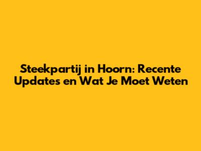 Steekpartij in Hoorn: Recente Updates en Wat Je Moet Weten