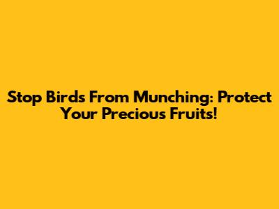 Stop Birds From Munching: Protect Your Precious Fruits!