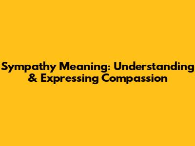 Sympathy Meaning: Understanding & Expressing Compassion