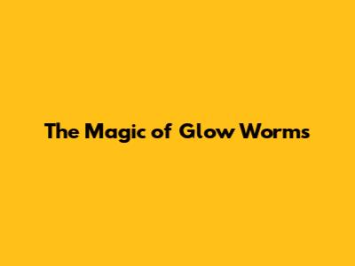 The Magic of Glow Worms