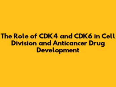 The Role of CDK4 and CDK6 in Cell Division and Anticancer Drug Development