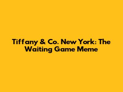 Tiffany & Co. New York: The Waiting Game Meme