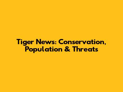Tiger News: Conservation, Population & Threats