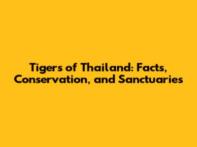 Tigers of Thailand: Facts, Conservation, and Sanctuaries
