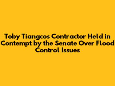 Toby Tiangco's Contractor Held in Contempt by the Senate Over Flood Control Issues