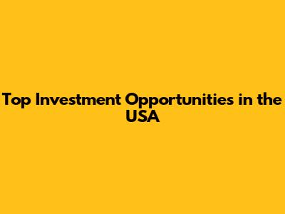 Top Investment Opportunities in the USA