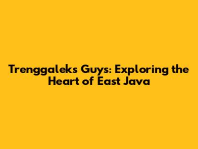 Trenggalek's Guys: Exploring the Heart of East Java