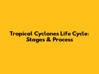 Tropical Cyclone's Life Cycle: Stages & Process