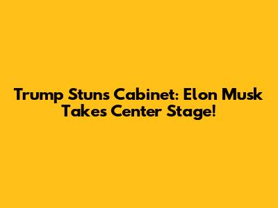 Trump Stuns Cabinet: Elon Musk Takes Center Stage!