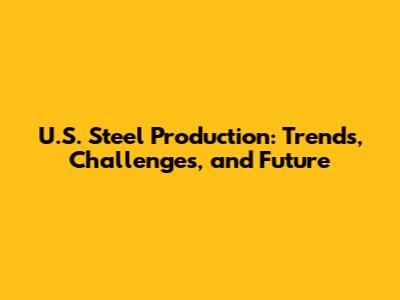 U.S. Steel Production: Trends, Challenges, and Future