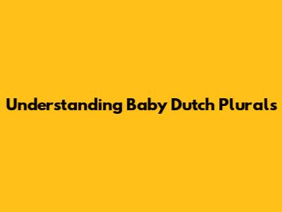 Understanding Baby Dutch Plurals