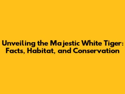 Unveiling the Majestic White Tiger: Facts, Habitat, and Conservation