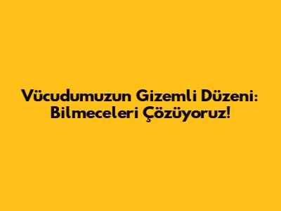 Vücudumuzun Gizemli Düzeni: Bilmeceleri Çözüyoruz!