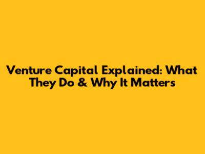 Venture Capital Explained: What They Do & Why It Matters