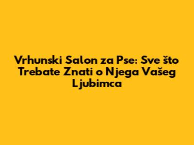 Vrhunski Salon za Pse: Sve što Trebate Znati o Njega Vašeg Ljubimca