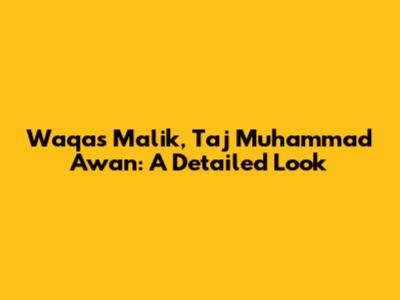 Waqas Malik, Taj Muhammad Awan: A Detailed Look